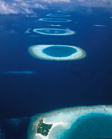 Constance Hôtels Expérience voyages de luxe 5 étoiles dans les Maldives